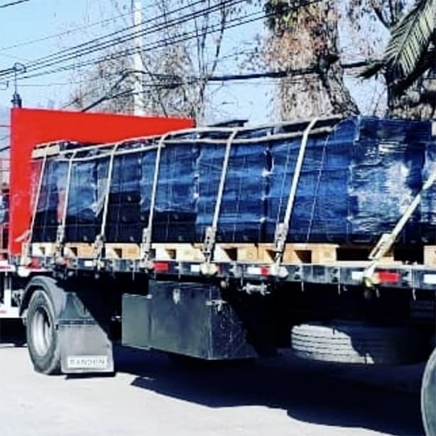 QUICKSTAR-COMBARBALA-1