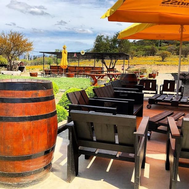 CERVECERÍA-KROSS,-CURACAVÍ-1